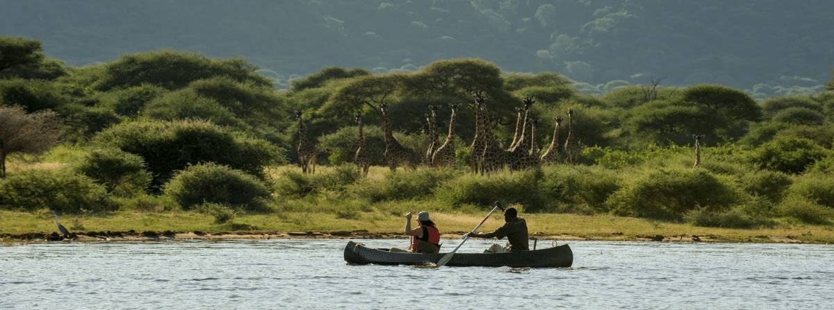 Lake Manyara Tree Lodge